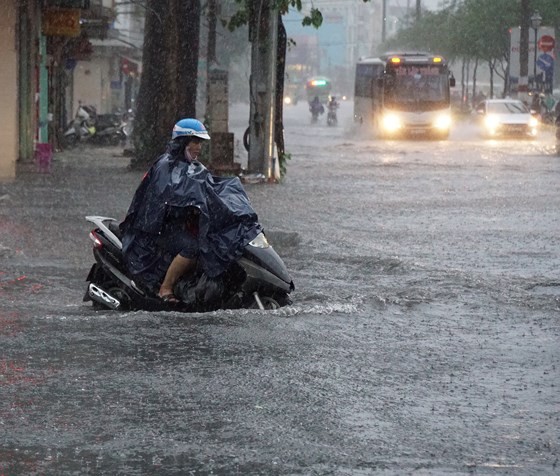 TPHCM mưa lớn, cây xanh bật gốc ngã đè người đi đường tử vong ảnh 9