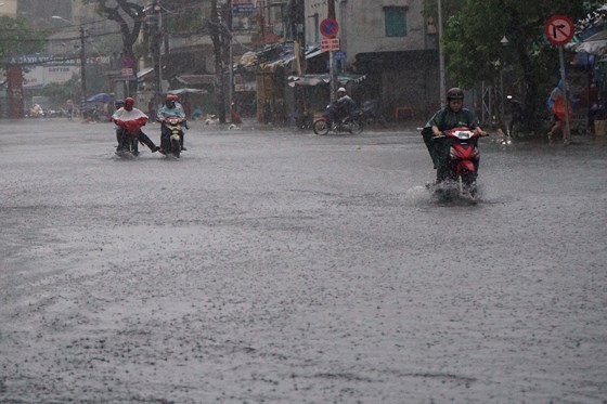 TPHCM mưa lớn, cây xanh bật gốc ngã đè người đi đường tử vong ảnh 10