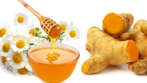 Cây nhà lá vườn trị bệnh gan nhiễm mỡ ảnh 2