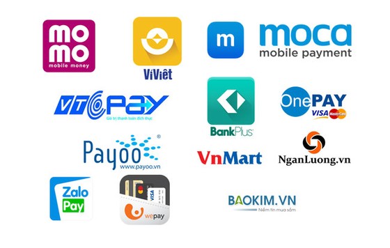 Nhận diện tiền điện tử tại Việt Nam ảnh 1