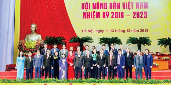 Doanh nghiệp - nông dân liên kết phát triển nông nghiệp ảnh 1
