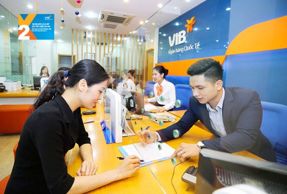 Tín dụng không còn “con gà đẻ trứng vàng” ảnh 1