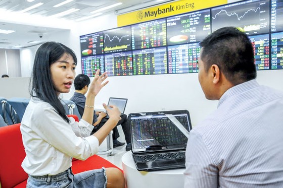 Thị trường chứng khoán 2018 - Cơ hội trước, cạm bẫy sau ảnh 1
