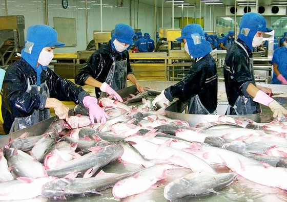 Ngành cá tra thắng lớn ảnh 1