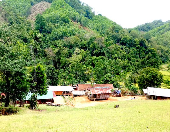 Biệt lập giữa đại ngàn ảnh 1