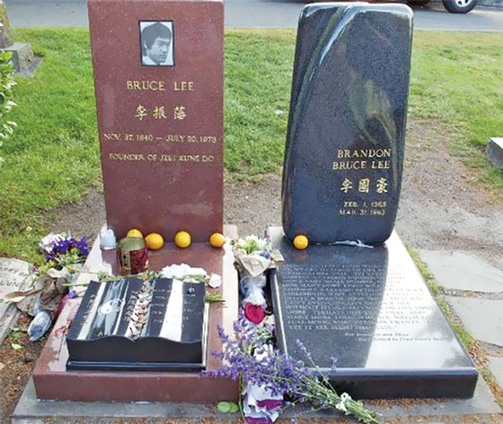 Sức hút Seattle ảnh 9