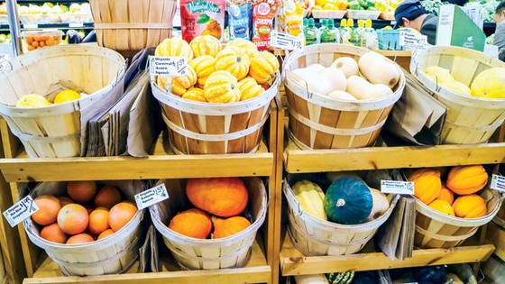 Chữa bệnh bằng liệu pháp tâm lý ảnh 3