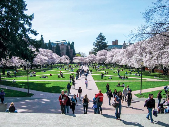 Sức hút Seattle ảnh 2