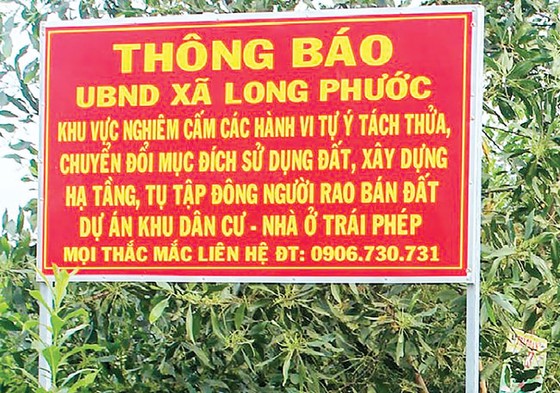 Tiếp tục làm rõ sai phạm Alibaba ảnh 1