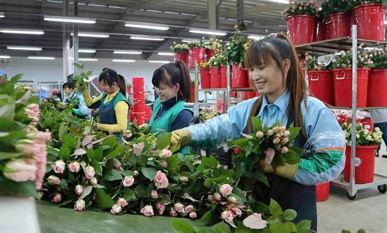 Bài 1: Hiện trạng manh mún ảnh 1