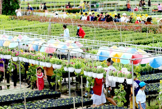 Rực rỡ hoa kiểng miền Tây ảnh 1