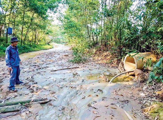 “Bãi lầy” hậu khai thác khoáng sản ở Quảng Nam ảnh 1