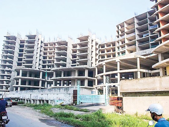 Thiếu công cụ hữu hiệu dự báo bong bóng ảnh 1