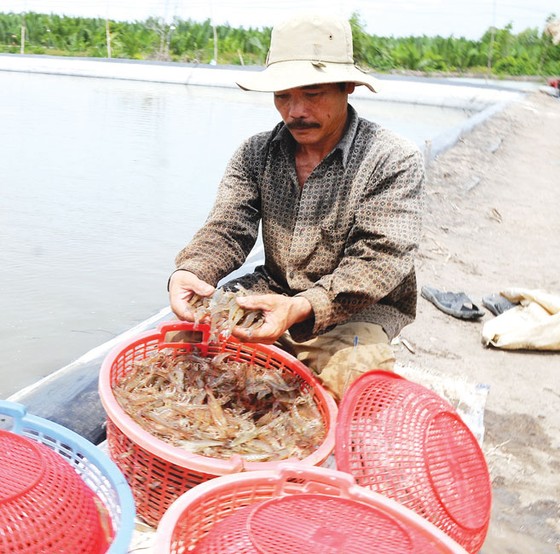 3 khó khăn chính kiềm hãm ngành thủy sản ảnh 1