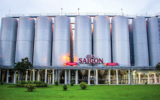 Kiểm toán lòi vi phạm, “bó tay” xử phạt ảnh 1