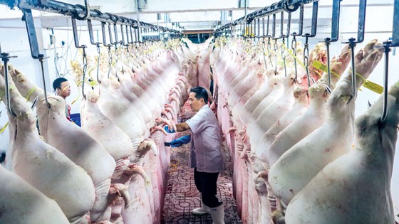 Sàn giao dịch heo hơi TPHCM ảnh 1