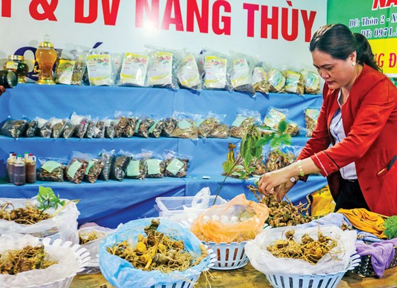 Gập ghềnh du lịch vùng sâm Ngọc Linh ảnh 1