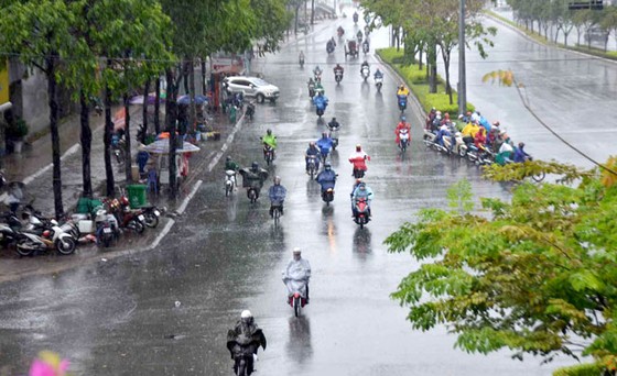 Cơn mưa “vàng” giải nhiệt ảnh 1