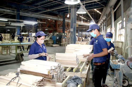Triển vọng ngành gỗ Đông Nam bộ ảnh 1