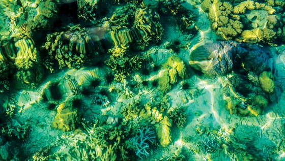 Khám phá đảo Palawan ảnh 4