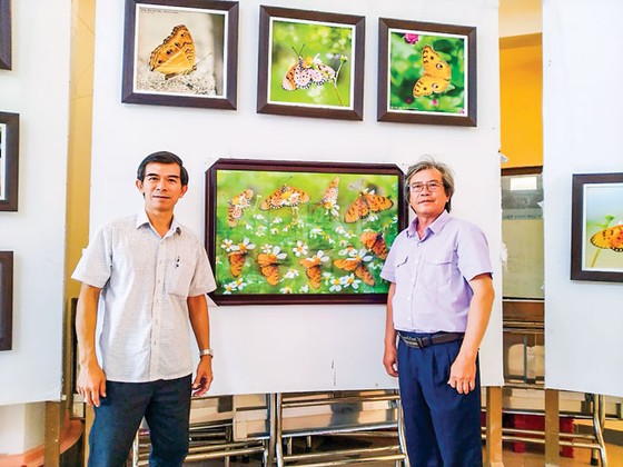 Doanh nhân mê… bướm ảnh 1