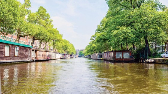 Flood prevention in Ho Chi Minh City - Lessons from Rotterdam ảnh 1