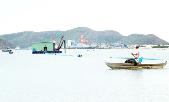 Doanh nghiệp tự ý hút cát ở đầm Thị Nại ảnh 1