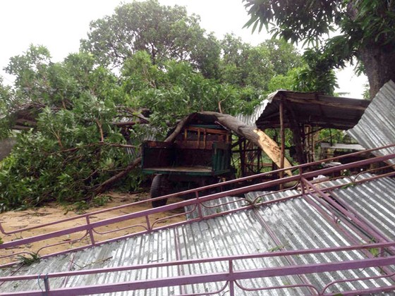 Tan hoang sau bão số 12 ảnh 5