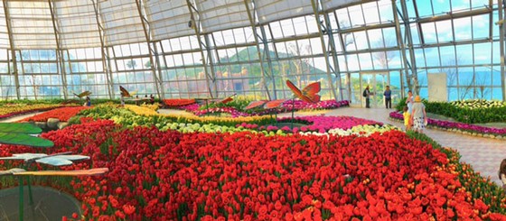 Lễ hội Tulip lớn nhất Việt Nam tại Vinpearl Nha Trang ảnh 3