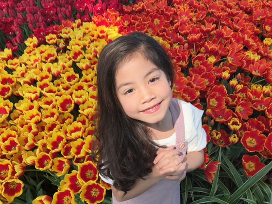Lễ hội Tulip lớn nhất Việt Nam tại Vinpearl Nha Trang ảnh 1