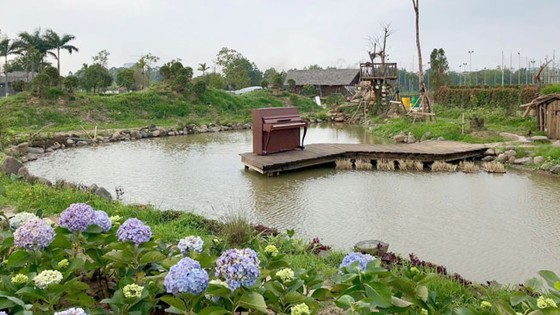 Mê hoặc đảo hoa hồng ven đê sông Hồng ảnh 3