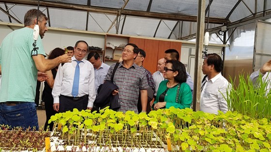 Học kinh nghiệm XD TP thông minh và khởi nghiệp sáng tạo tại Tel Aviv ảnh 4