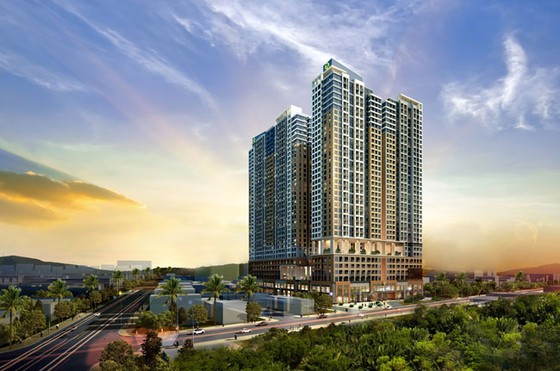 Lời giải cuộc chiến giành chỗ đậu xe trung tâm thành phố ảnh 2