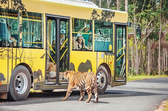 Vinpearl Safari Phú Quốc: Trải nghiệm “Tết mới”, gắn kết thiên nhiên ảnh 9