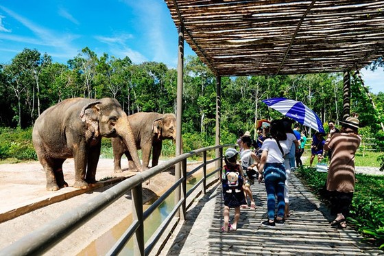 Vinpearl Safari Phú Quốc: Trải nghiệm “Tết mới”, gắn kết thiên nhiên ảnh 14