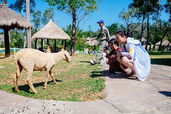 Vinpearl Safari Phú Quốc: Trải nghiệm “Tết mới”, gắn kết thiên nhiên ảnh 7