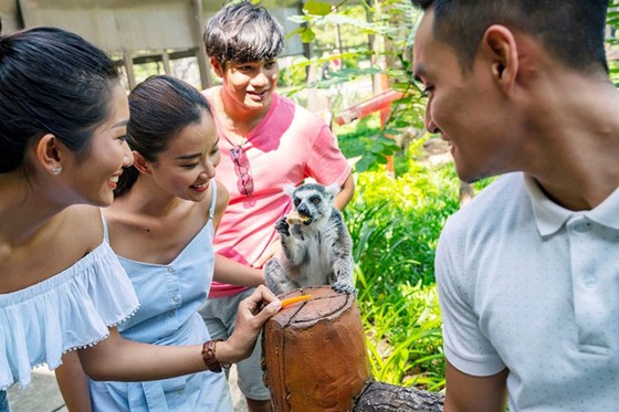 Vinpearl Safari Phú Quốc: Trải nghiệm “Tết mới”, gắn kết thiên nhiên ảnh 8