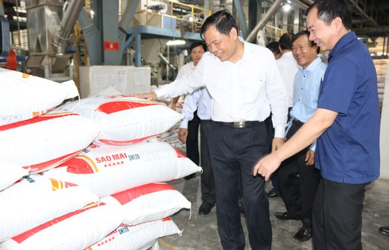 Ngành hàng cá tra một năm chiến thắng ảnh 1