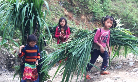 Trẻ em miền cao nguyên đá ảnh 4