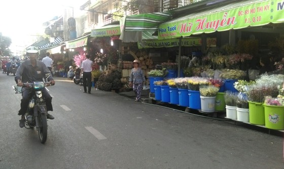 Ra mắt Phố chuyên doanh hoa Hồ Thị Kỷ ảnh 3