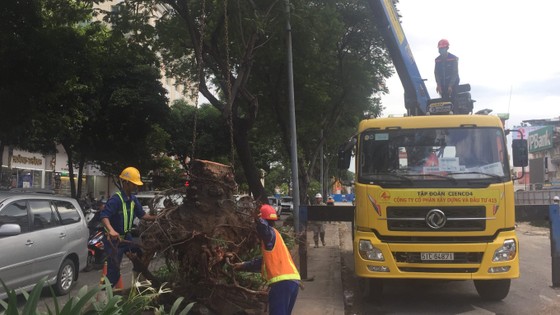 Gió lớn, cây ngã, nhà tốc mái, nhiều người bị thương ảnh 3