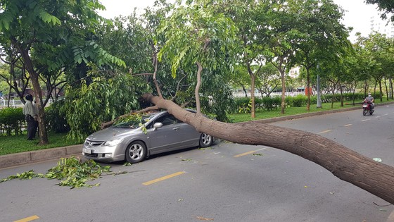 Gió lớn, cây ngã, nhà tốc mái, nhiều người bị thương ảnh 7