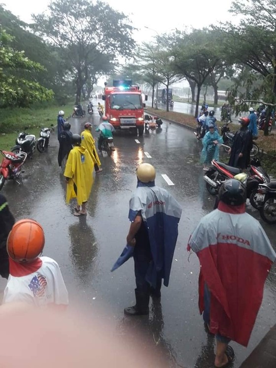 TPHCM mưa lớn, cây xanh bật gốc ngã đè người đi đường tử vong ảnh 1