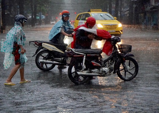 TPHCM mưa lớn, cây xanh bật gốc ngã đè người đi đường tử vong ảnh 11