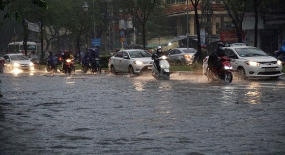 TPHCM mưa lớn, cây xanh bật gốc ngã đè người đi đường tử vong ảnh 3