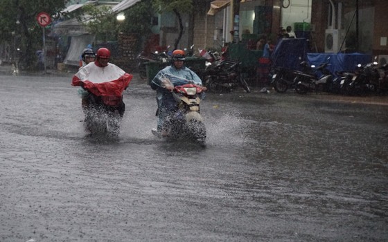 TPHCM mưa lớn, cây xanh bật gốc ngã đè người đi đường tử vong ảnh 7