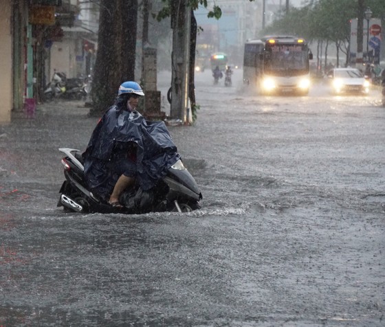 TPHCM mưa lớn, cây xanh bật gốc ngã đè người đi đường tử vong ảnh 9