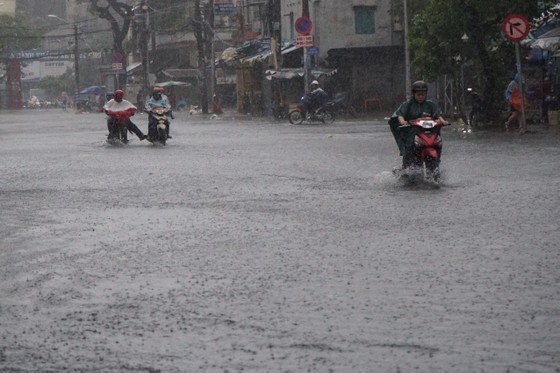 TPHCM mưa lớn, cây xanh bật gốc ngã đè người đi đường tử vong ảnh 10