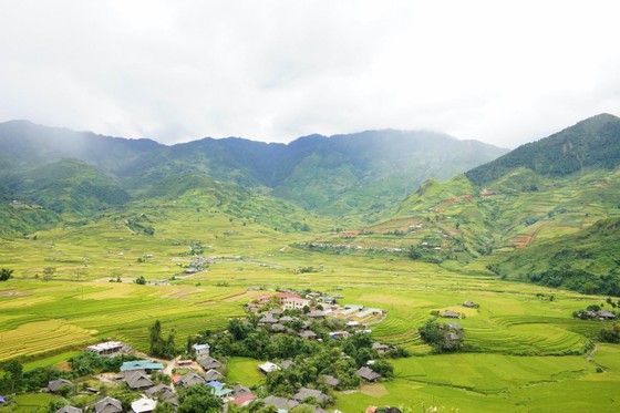 Say sưa cốm Tú Lệ ảnh 1