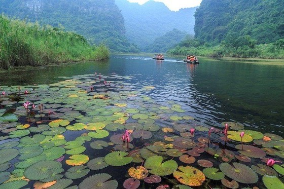 故園樓:北部袖珍平原鄉村 ảnh 5